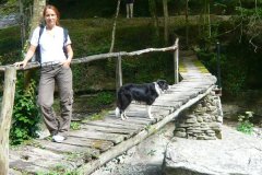 Attività sportive