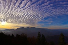 Panorami