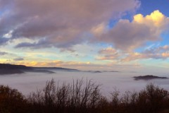 Panorami