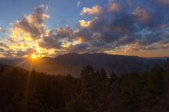 Panorami