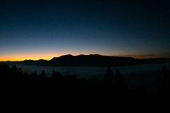 Panorami